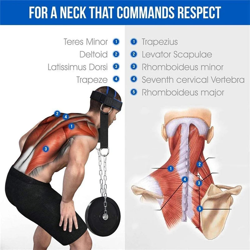Head Harness Sports Neck Training Exerciser Strap Muscle Builder Home Gym for Strength Fitness Weight Lifting Workout Boxing MMA